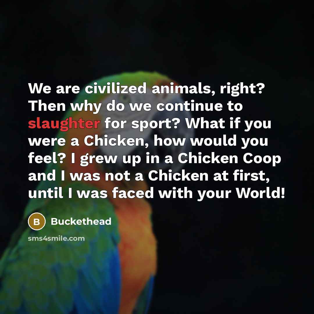 “We are civilized animals, right? Then why do we continue…” quote by Buckethead