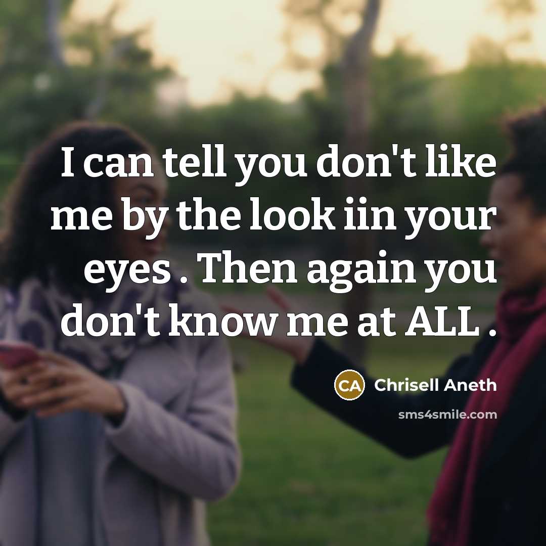 “I can tell you don't like me by the look iin your eyes . Then again you don't know me at ALL .” quote by Chrisell Aneth
