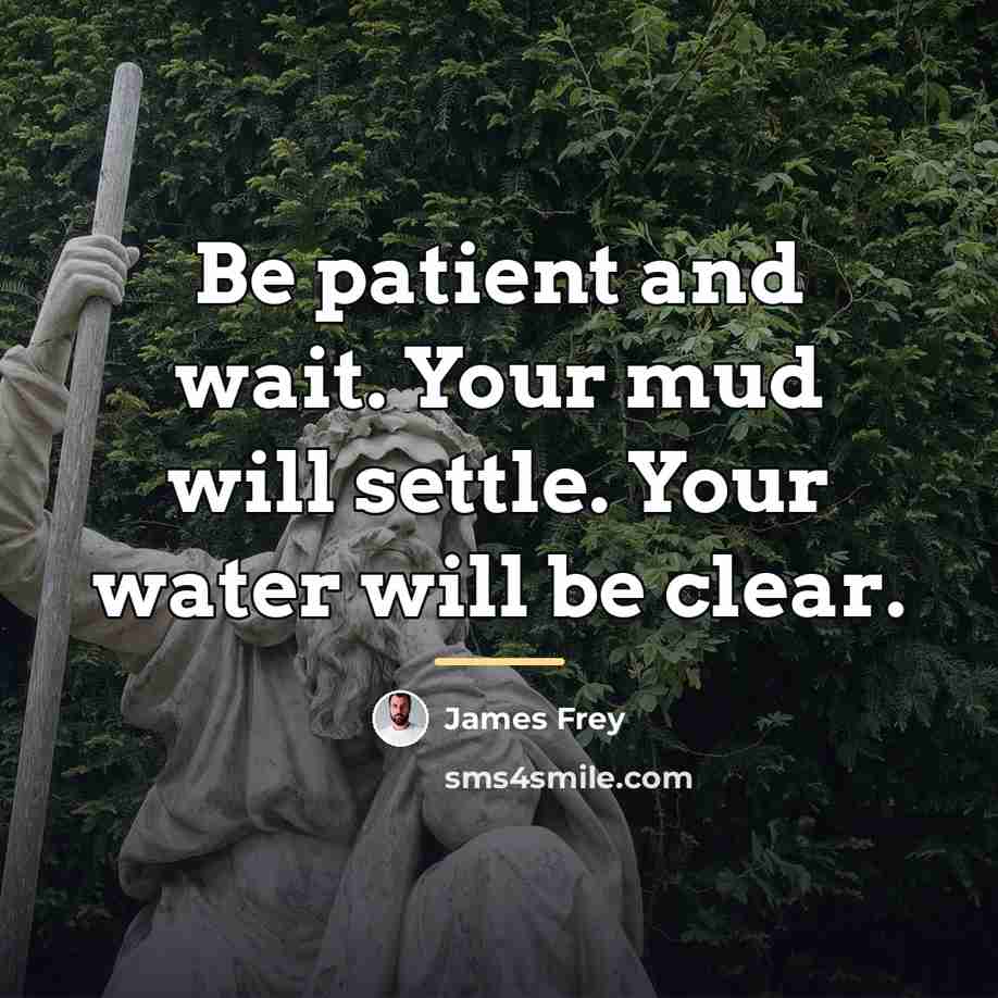 “Be patient and wait. Your mud will settle. Your water…” quote by James Frey