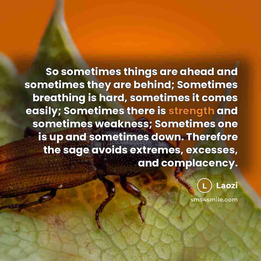 “So sometimes things are ahead and sometimes they are behind;…” quote by Laozi