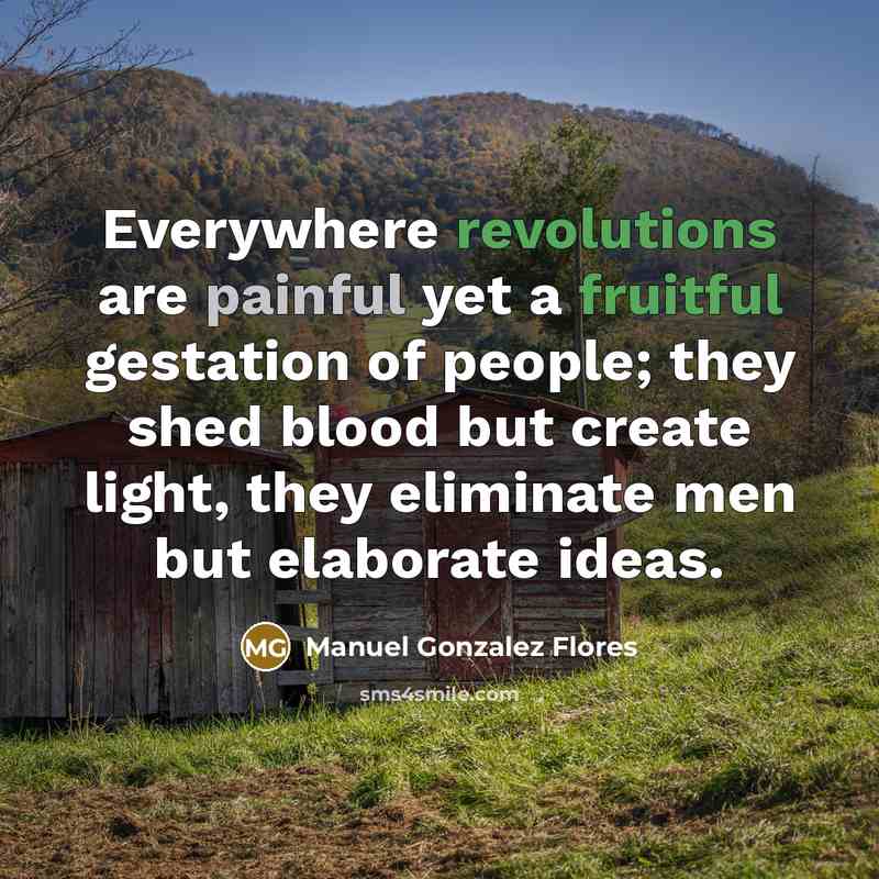 “Everywhere revolutions are painful yet a fruitful gestation of people; they shed blood but create light, they eliminate men but elaborate ideas.” quote by Manuel Gonzalez Flores