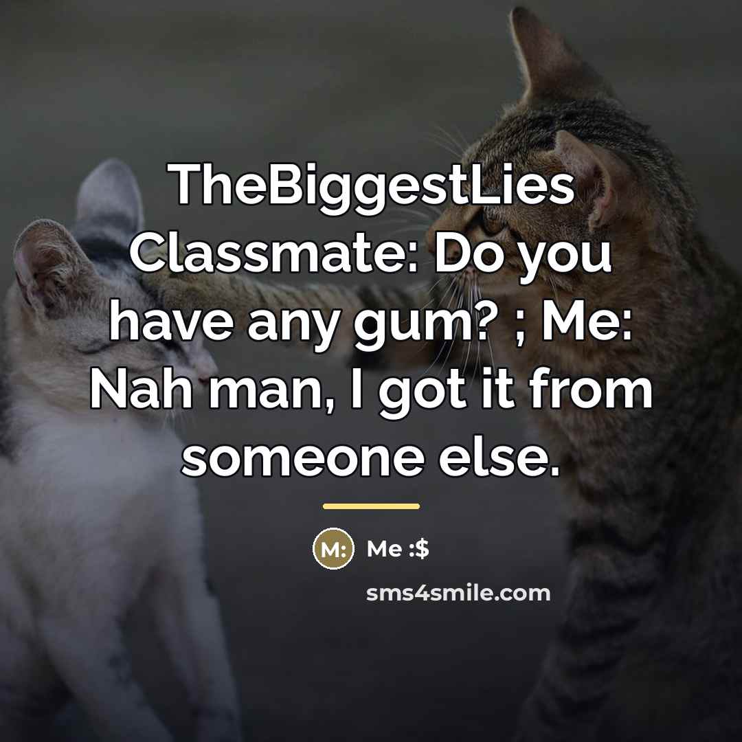 “TheBiggestLies Classmate: Do you have any gum? ; Me: Nah…” quote by Anonymous