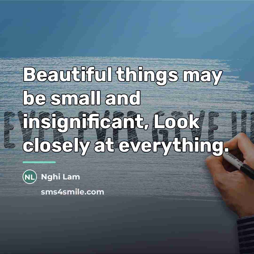 “Beautiful things may be small and insignificant, Look closely at…” quote by Nghi Lam