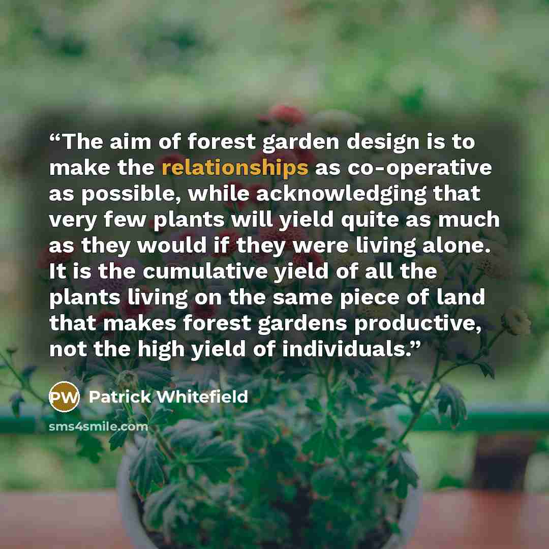 “The aim of forest garden design is to make the relationships as co-operative as possible, while acknowledging that very few plants will yield quite as much as they would if they were living alone. It is the cumulative yield of all the plants living on the same piece of land that makes forest…” quote by Patrick Whitefield