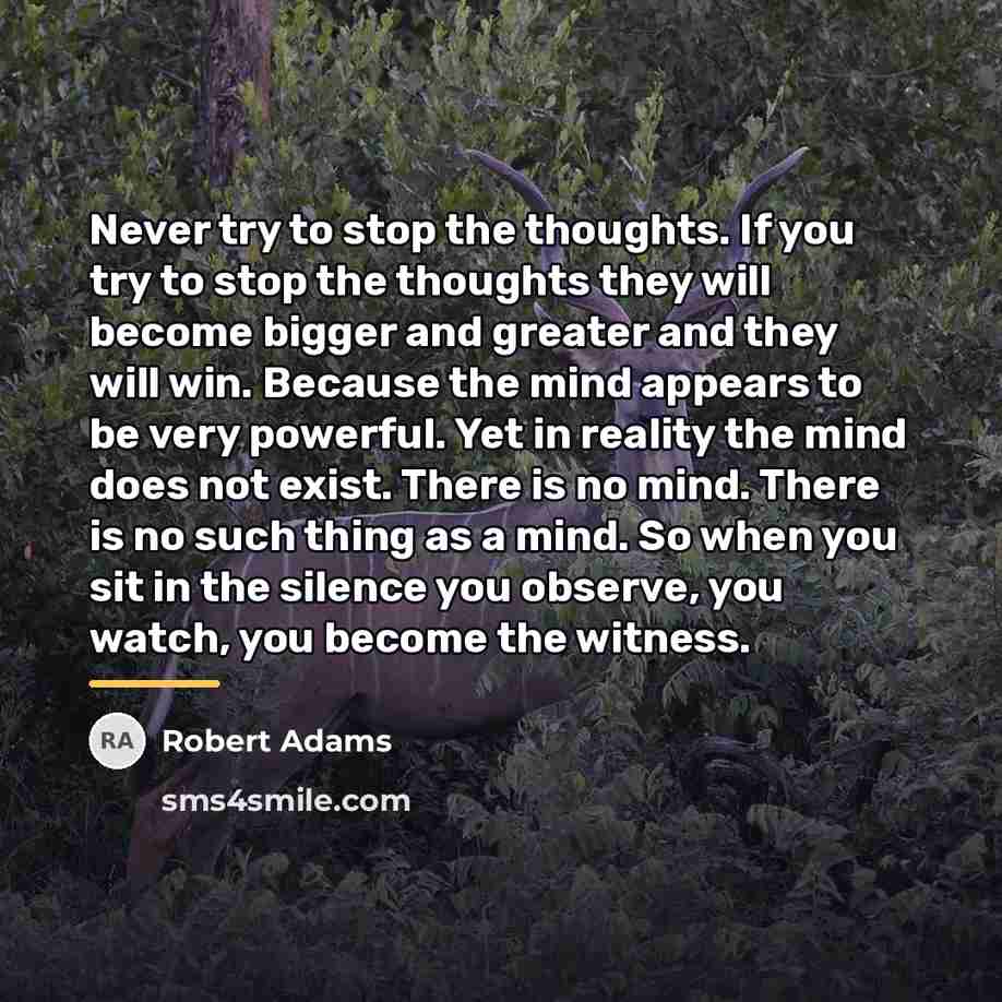 “Never try to stop the thoughts. If you try to…” quote by Robert Adams