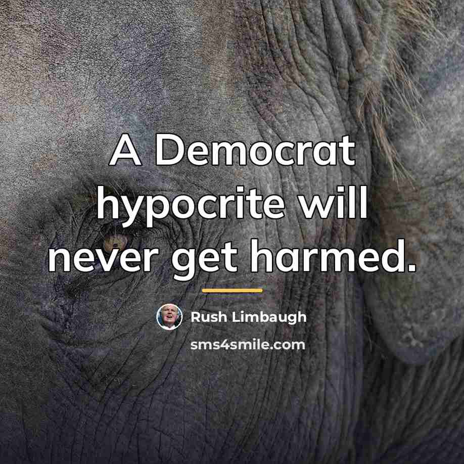 “A Democrat hypocrite will never get harmed.…” quote by Rush Limbaugh
