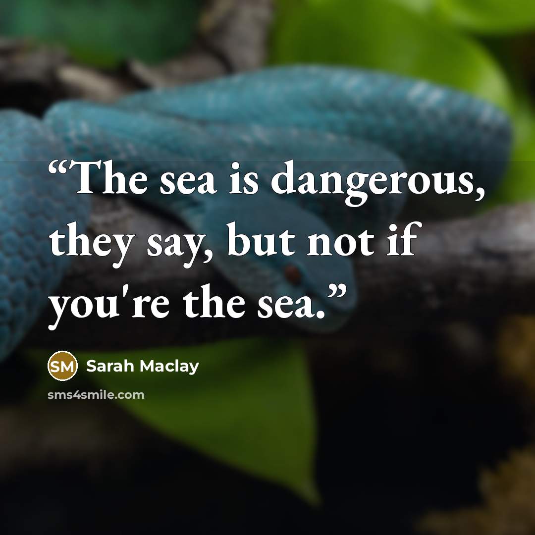 “The sea is dangerous, they say, but not if you're the sea.” quote by Sarah Maclay