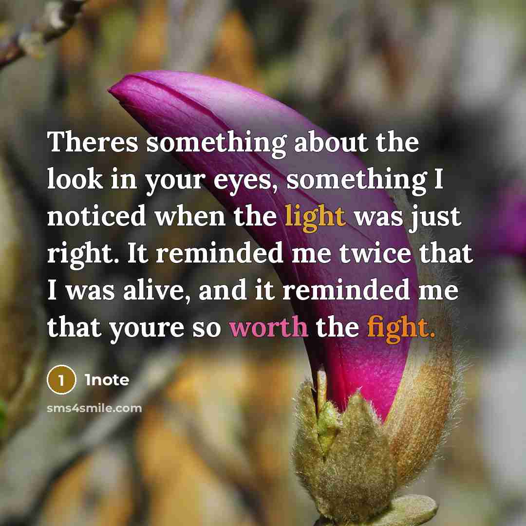 “Theres something about the look in your eyes, something I noticed when the light was just right. It reminded me twice that I was alive, and it reminded me that youre so worth the fight.” quote by 1note