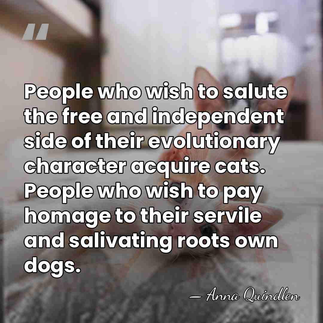 People who wish to salute the free and independent side of their&hellip; - Anna Quindlen