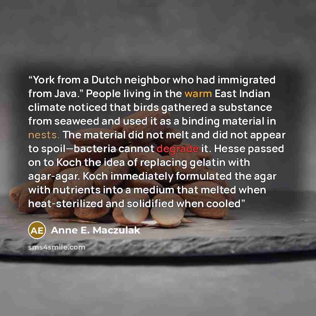 “York from a Dutch neighbor who had immigrated from Java.” People living in the warm East Indian climate noticed that birds gathered a substance from seaweed and used it as a binding material in nests. The material did not melt and did not appear to spoil—bacteria cannot degrade it. Hesse passed on…” quote by Anne E. Maczulak