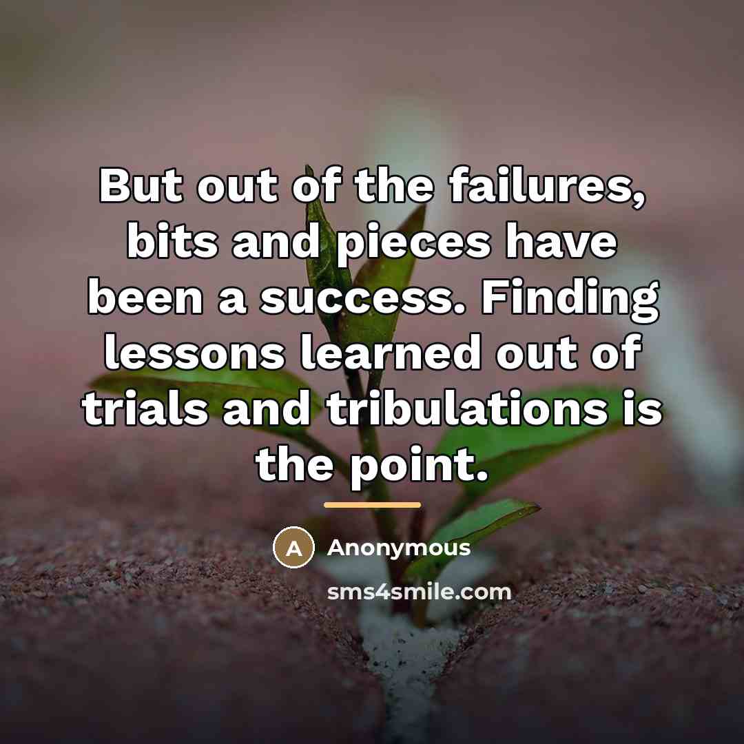 “But out of the failures, bits and pieces have been…” quote by Anonymous