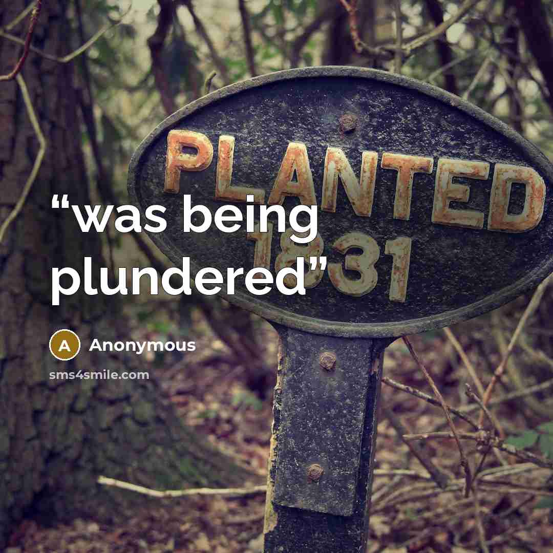 “was being plundered” quote by Anonymous