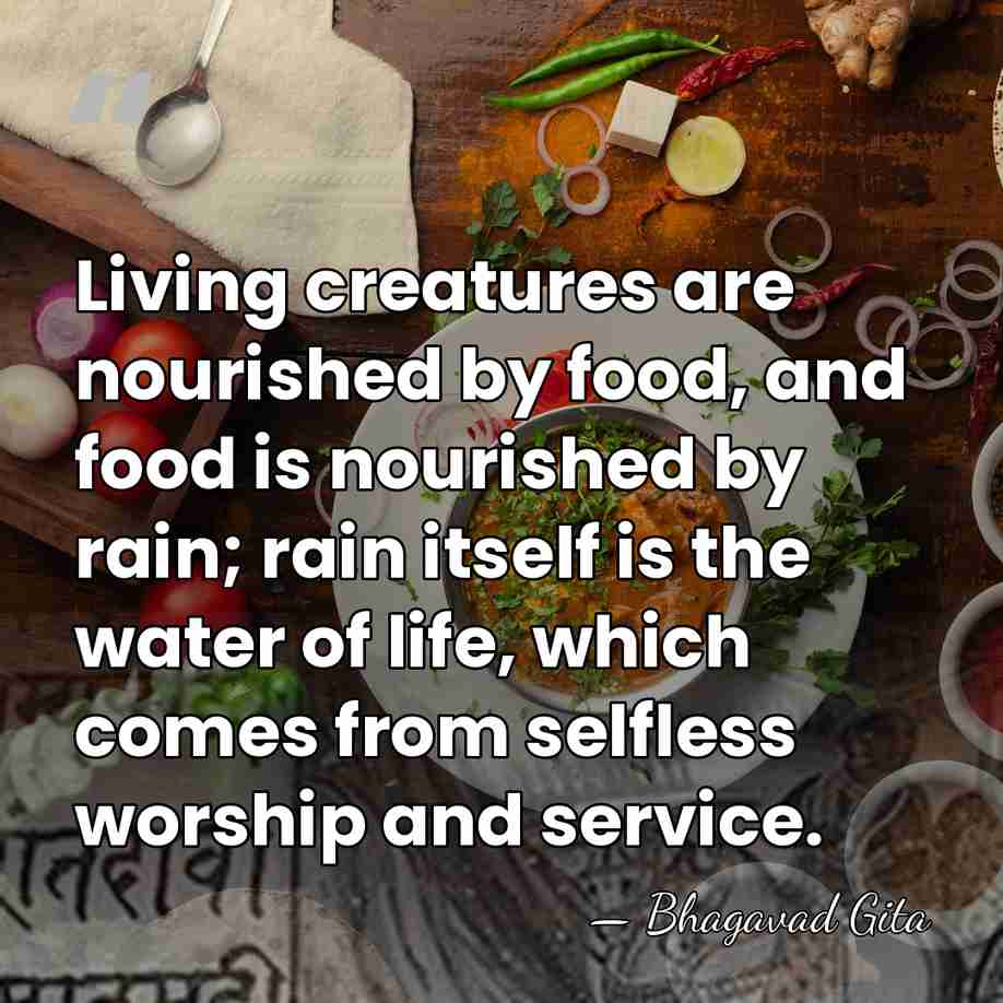 Living creatures are nourished by food, and food is nourished by rain;&hellip; - Bhagavad Gita