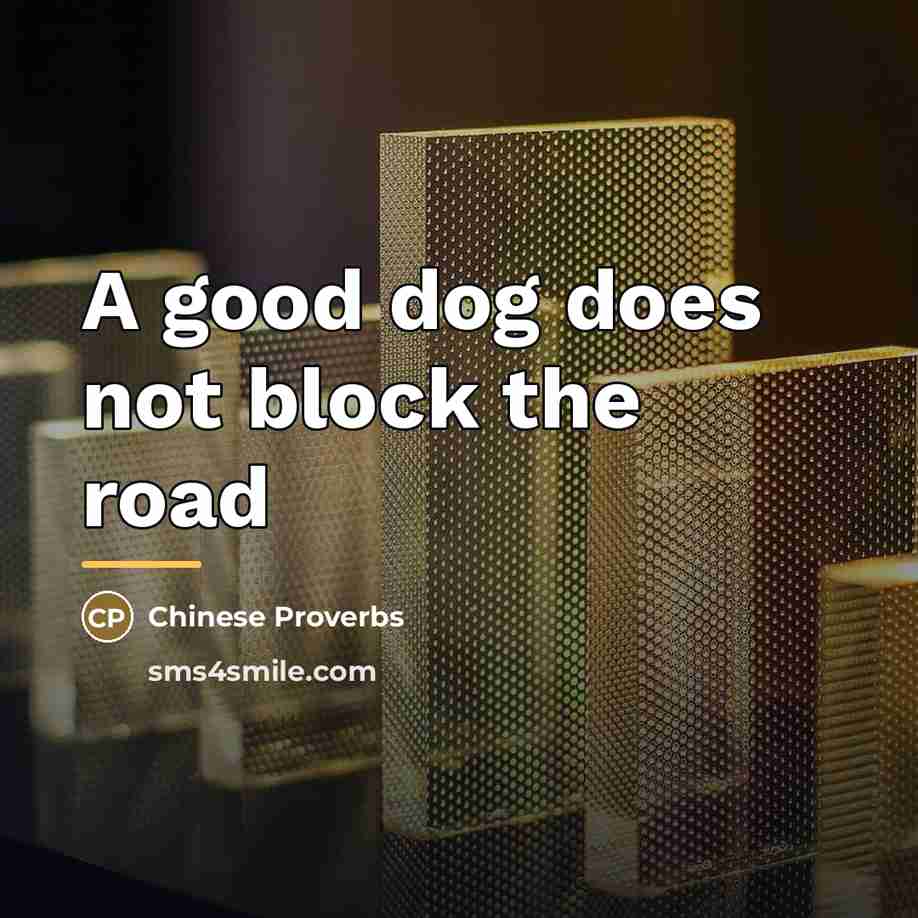 “A good dog does not block the road…” quote by Chinese Proverbs
