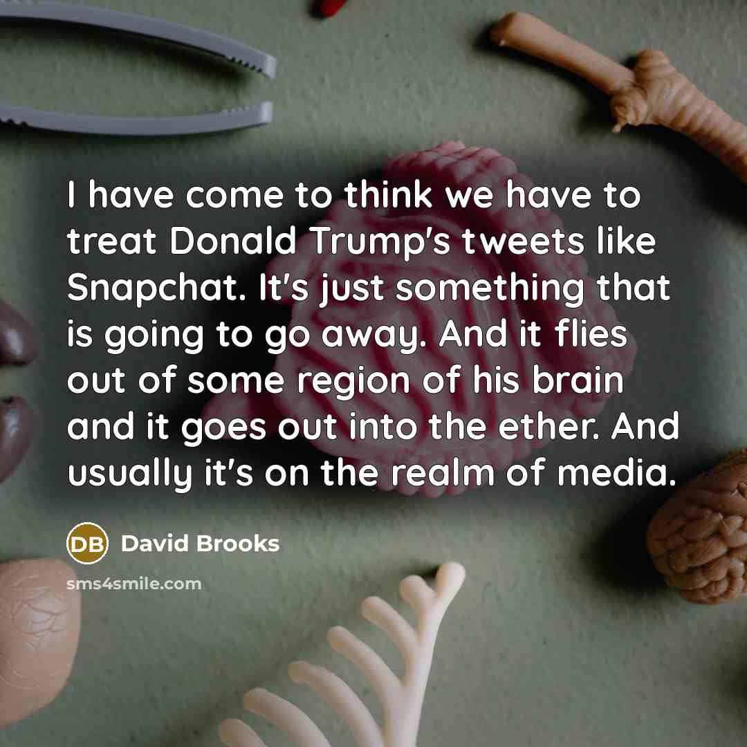 “I have come to think we have to treat Donald…” quote by David Brooks