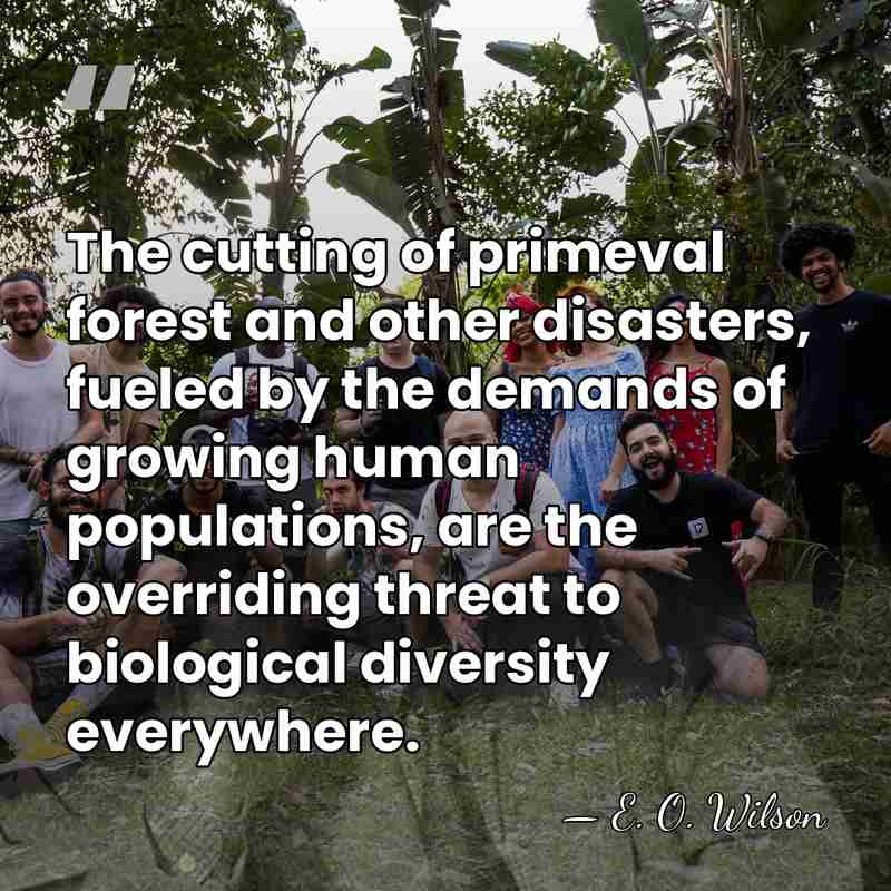The cutting of primeval forest and other disasters, fueled by the demands&hellip; - E. O. Wilson
