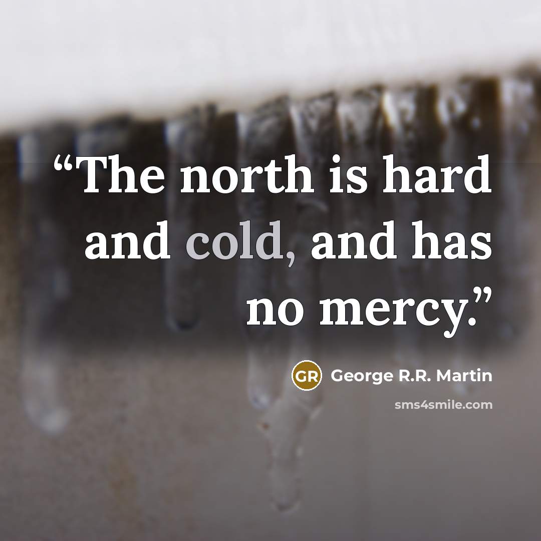 “The north is hard and cold, and has no mercy.” quote by George R.R. Martin