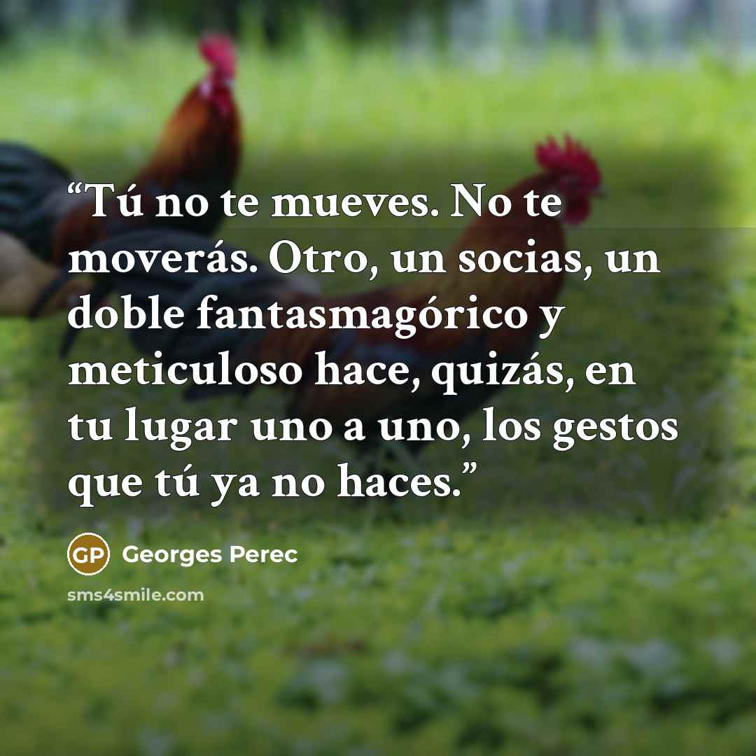 “Tú no te mueves. No te moverás. Otro, un socias, un doble fantasmagórico y meticuloso hace, quizás, en tu lugar uno a uno, los gestos que tú ya no haces.” quote by Georges Perec