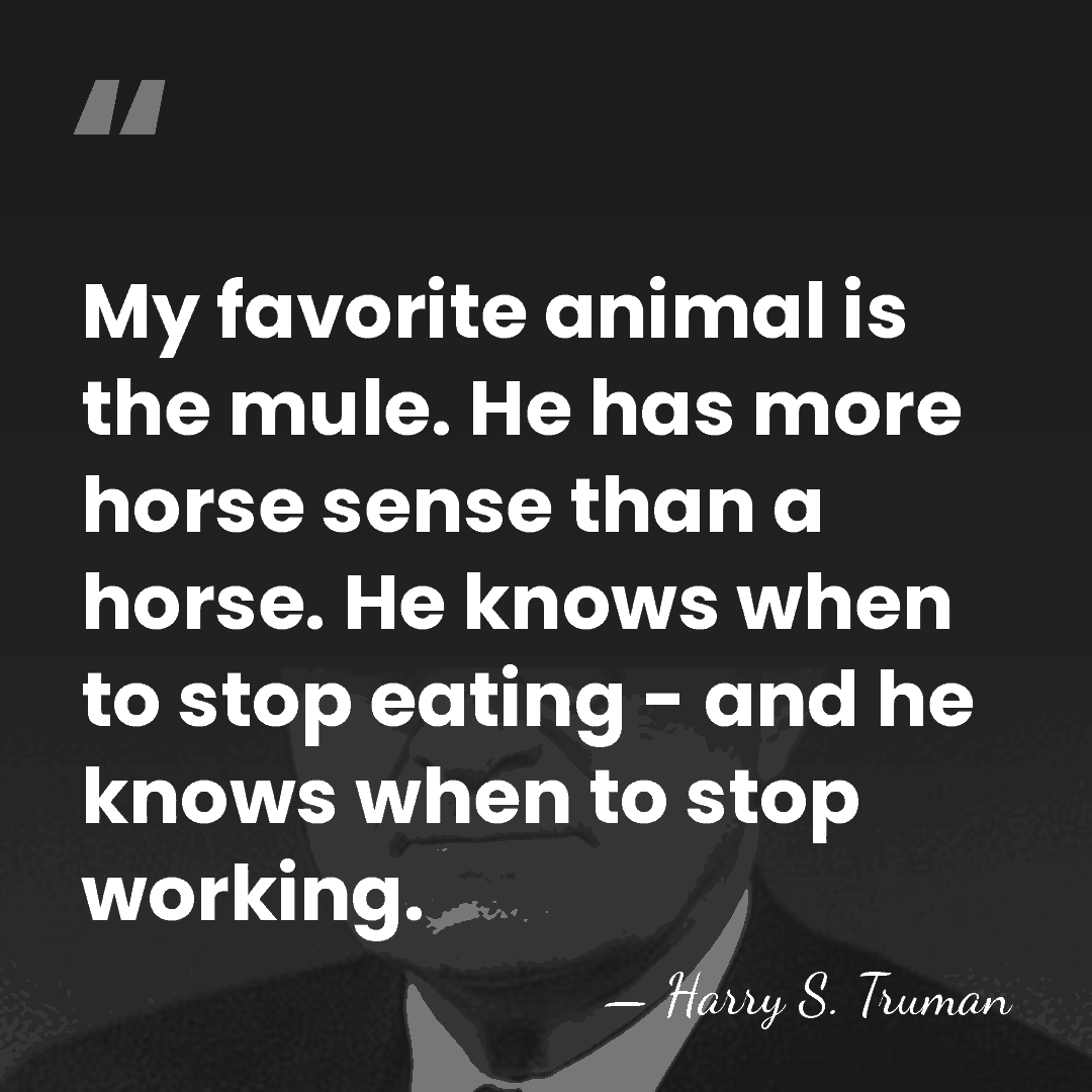 My favorite animal is the mule. He has more horse sense than&hellip; - Harry S. Truman