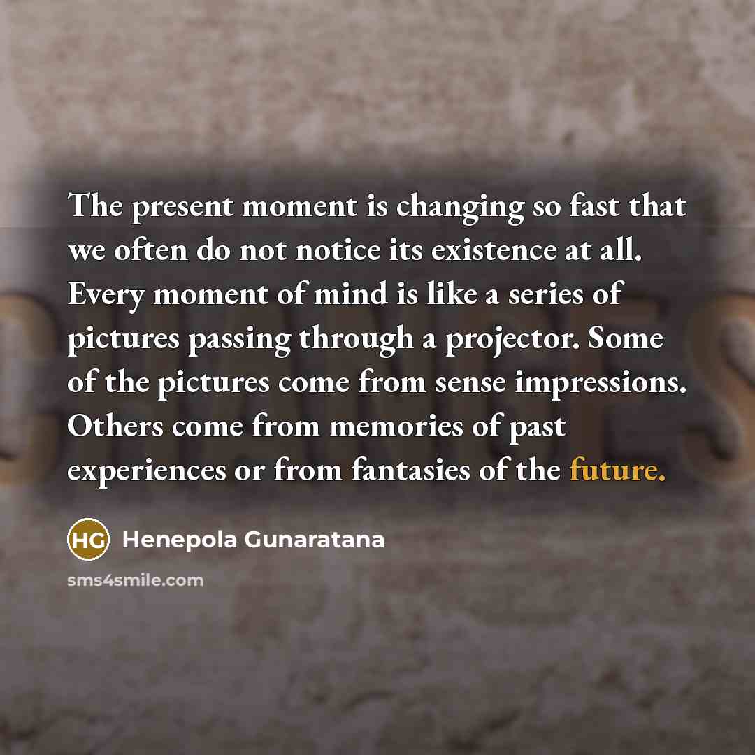 “The present moment is changing so fast that we often…” quote by Henepola Gunaratana