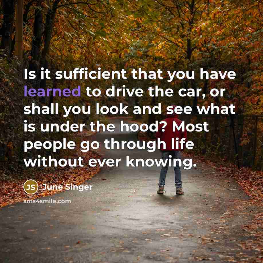 “Is it sufficient that you have learned to drive the…” quote by June Singer