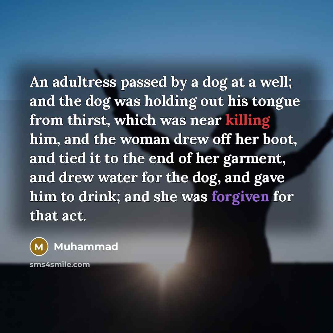 “An adultress passed by a dog at a well; and…” quote by Muhammad