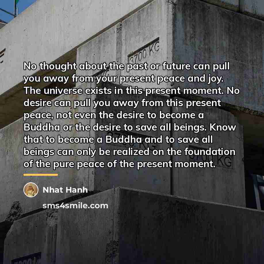 “No thought about the past or future can pull you…” quote by Nhat Hanh