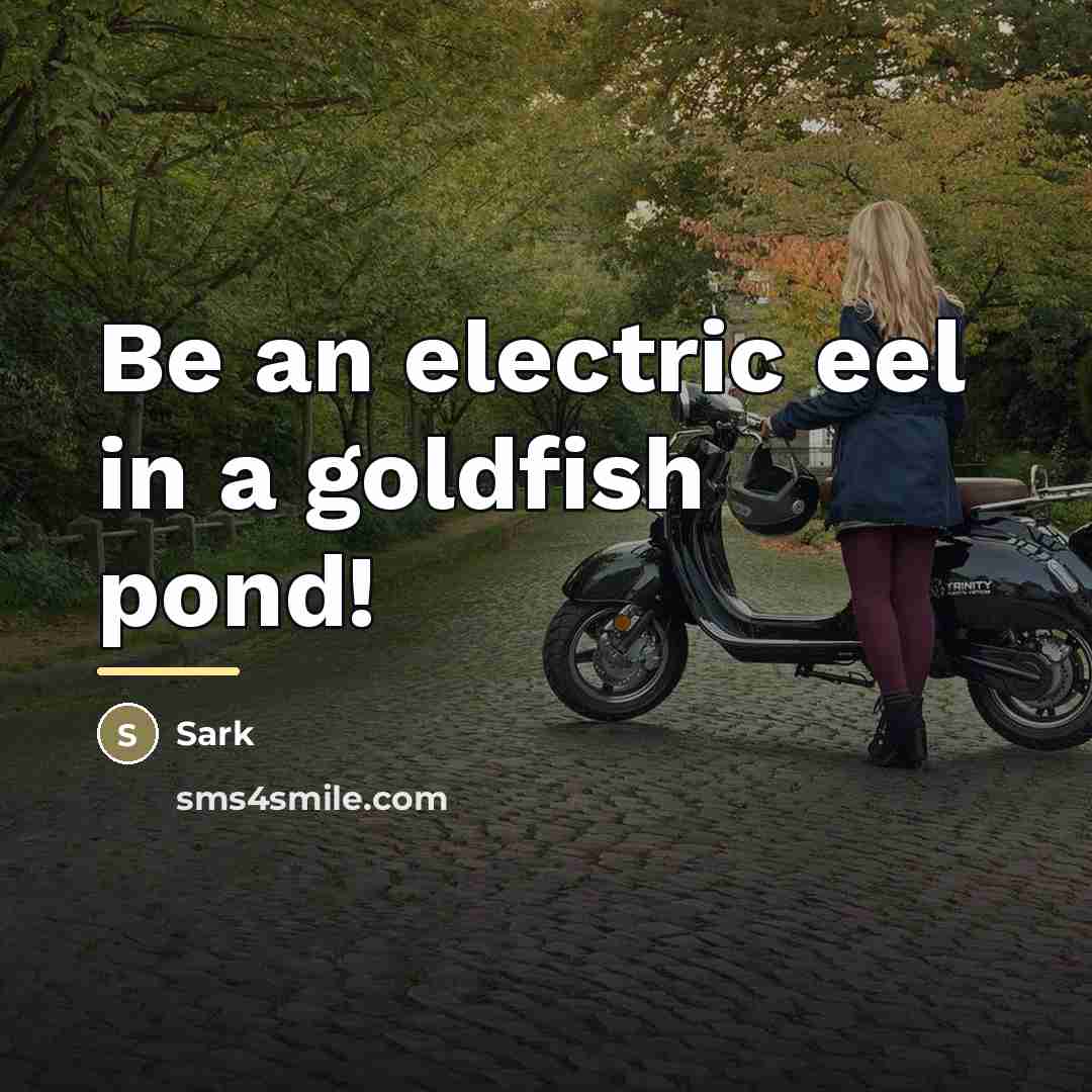 “Be an electric eel in a goldfish pond!…” quote by Sark