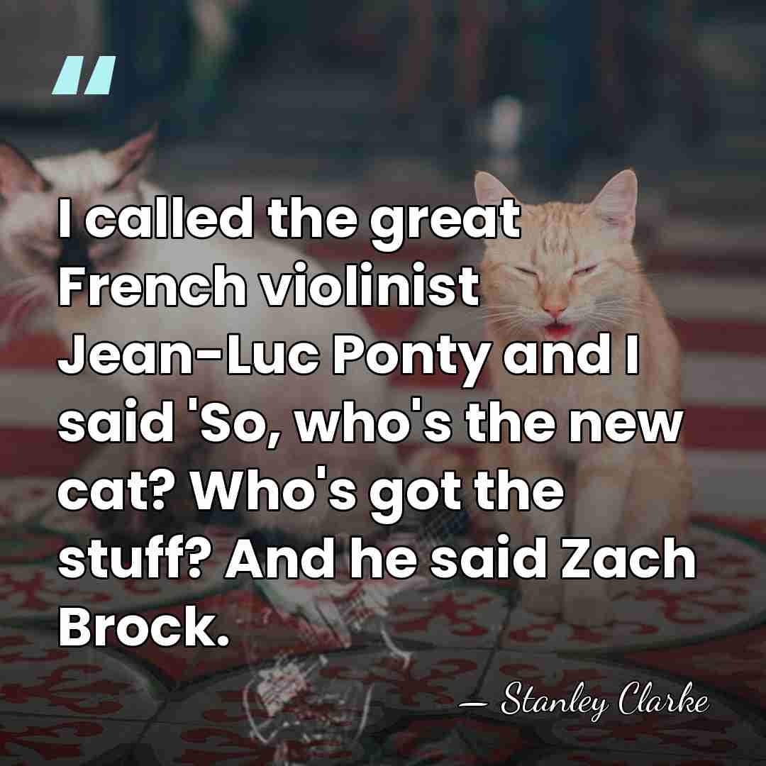 I called the great French violinist Jean-Luc Ponty and I said 'So,&hellip; - Stanley Clarke