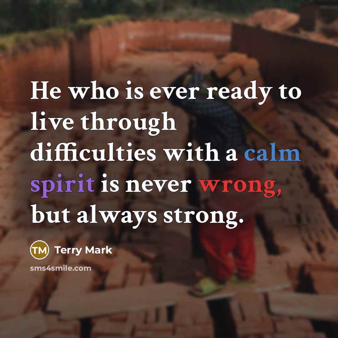 “He who is ever ready to live through difficulties with…” quote by Terry Mark