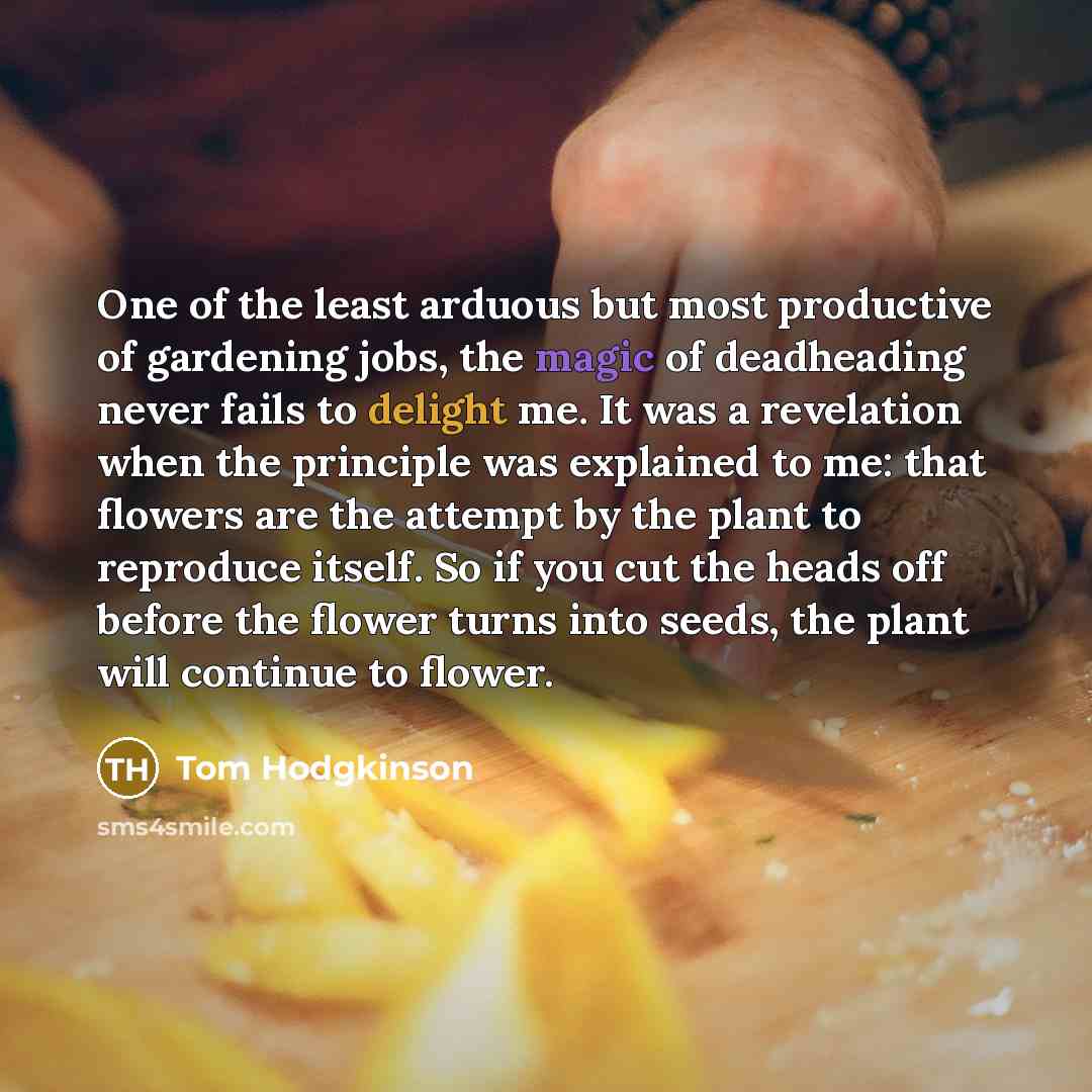 “One of the least arduous but most productive of gardening…” quote by Tom Hodgkinson
