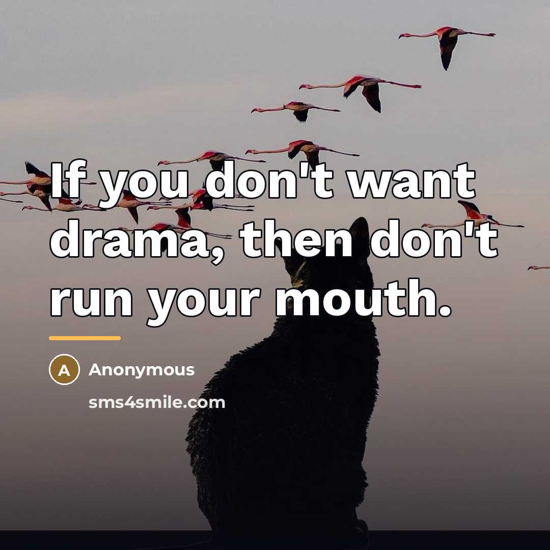 “If you don't want drama, then don't run your mouth.…” quote by Anonymous