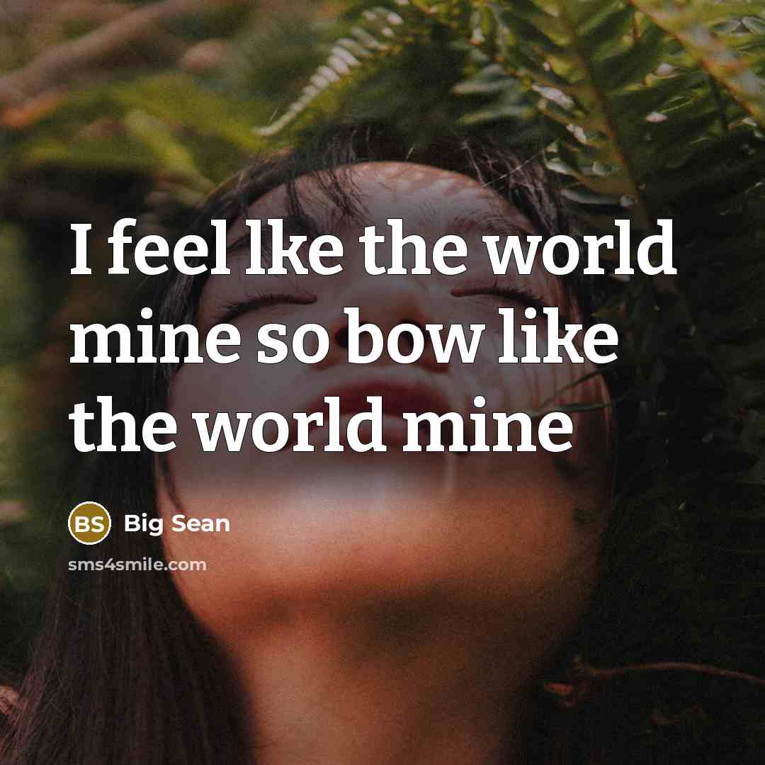 “I feel lke the world mine so bow like the world mine” quote by Big Sean