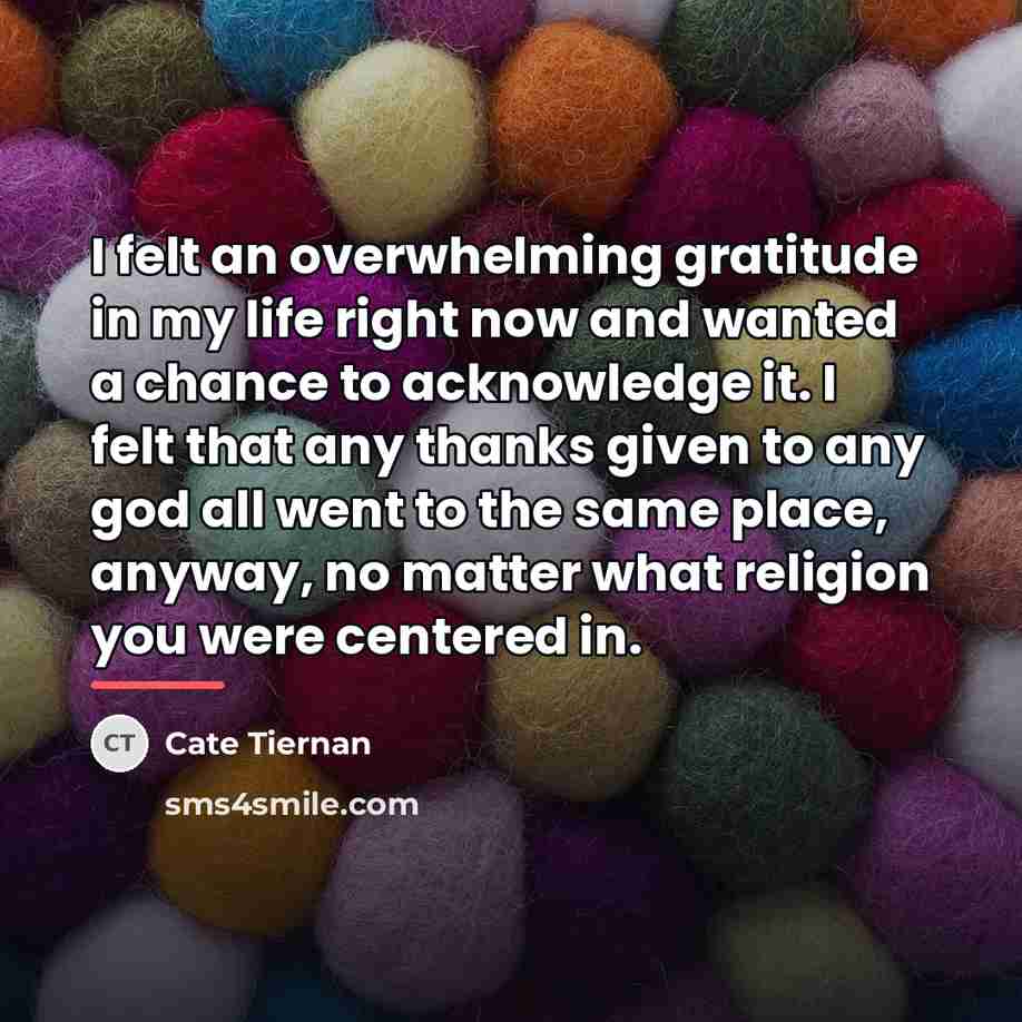 “I felt an overwhelming gratitude in my life right now…” quote by Cate Tiernan