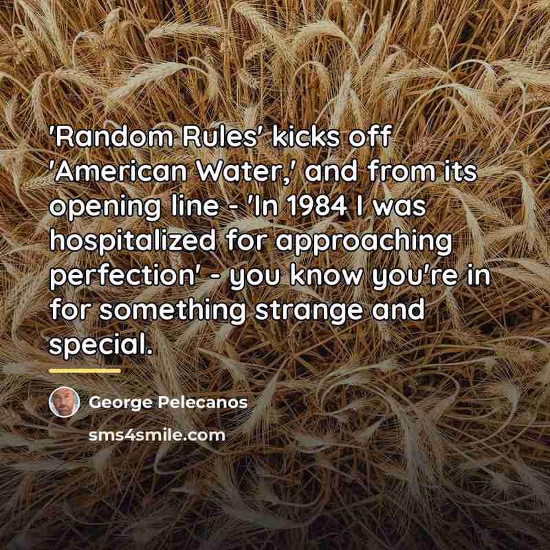 “'Random Rules' kicks off 'American Water,' and from its opening…” quote by George Pelecanos