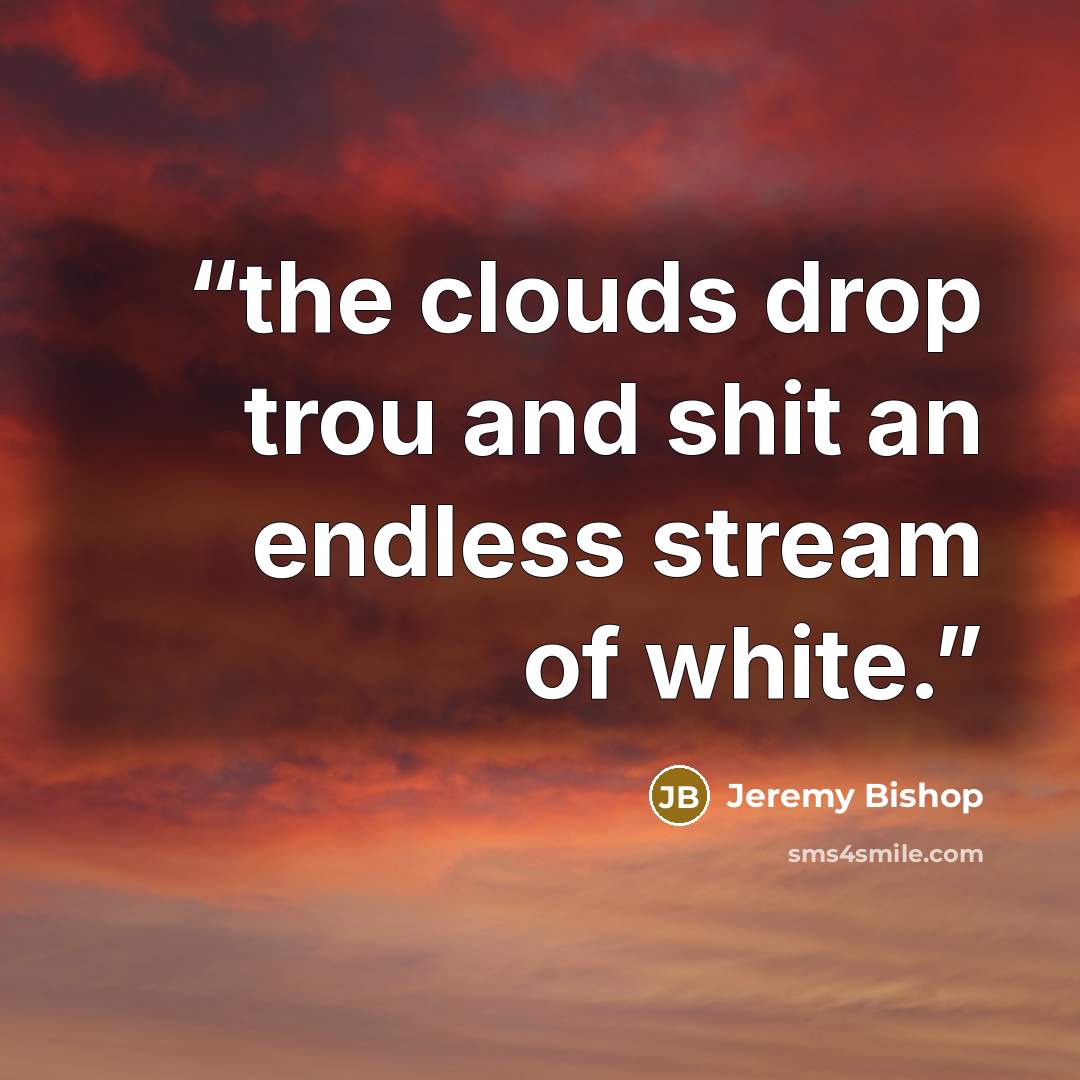 “the clouds drop trou and shit an endless stream of white.” quote by Jeremy Bishop