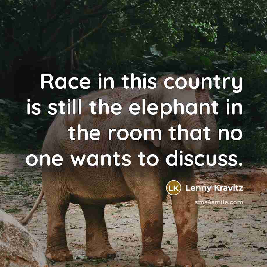 “Race in this country is still the elephant in the…” quote by Lenny Kravitz