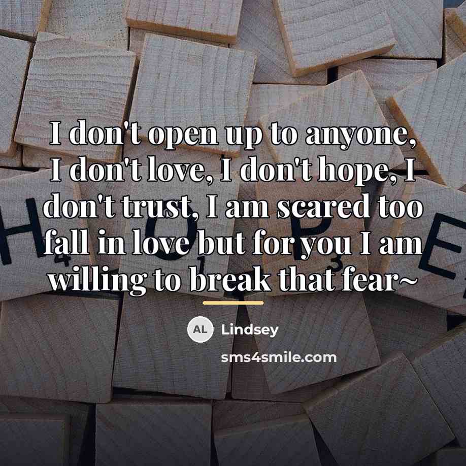 “I don't open up to anyone, I don't love, I…” quote by Lindsey