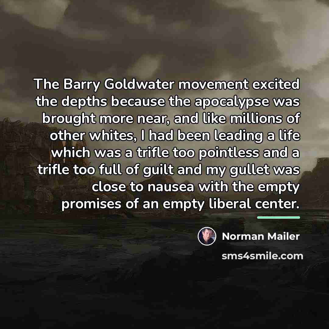 “The Barry Goldwater movement excited the depths because the apocalypse…” quote by Norman Mailer
