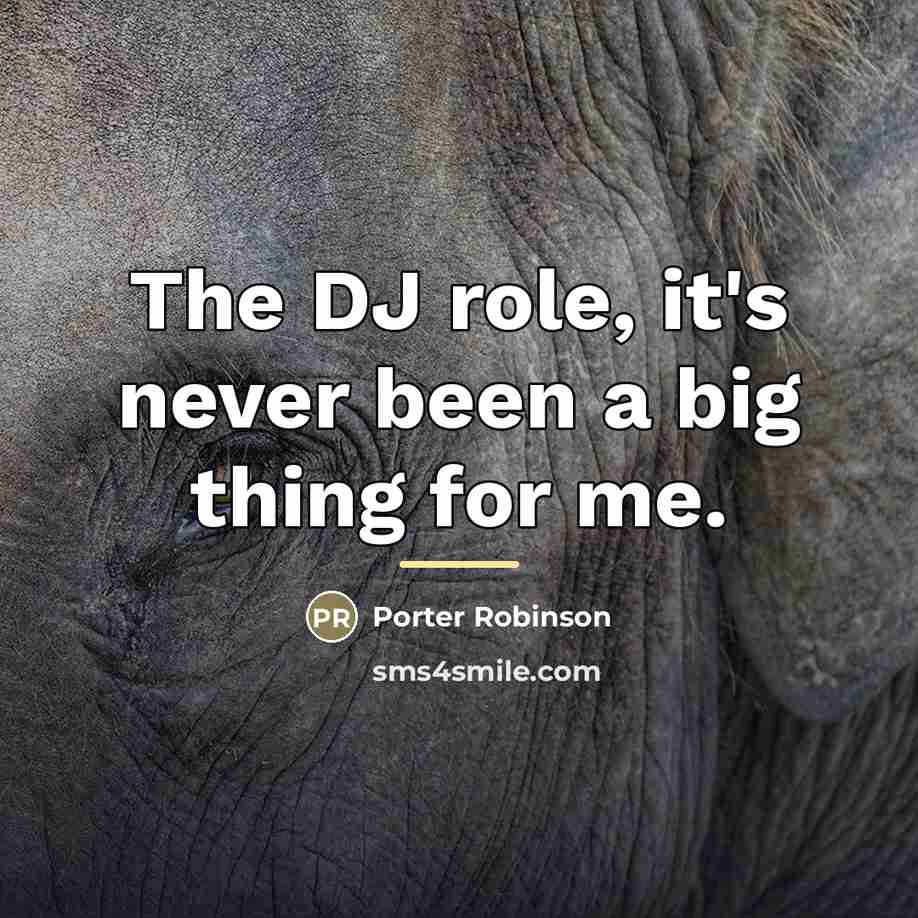 “The DJ role, it's never been a big thing for…” quote by Porter Robinson