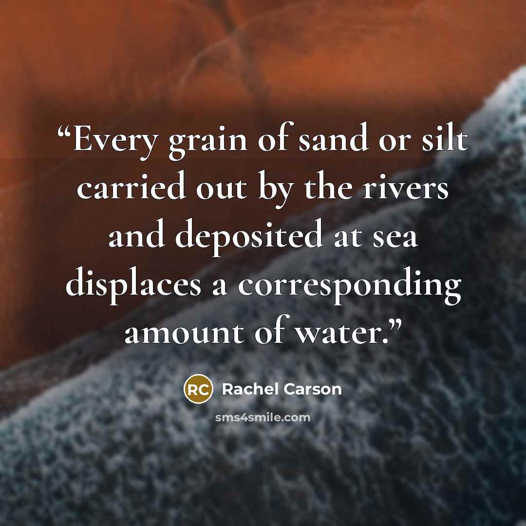“Every grain of sand or silt carried out by the rivers and deposited at sea displaces a corresponding amount of water.” quote by Rachel Carson