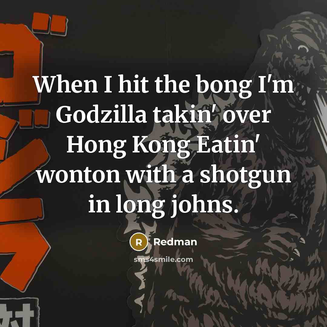 “When I hit the bong I'm Godzilla takin' over Hong…” quote by Redman