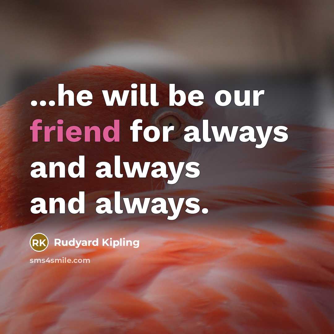 “...he will be our friend for always and always and…” quote by Rudyard Kipling