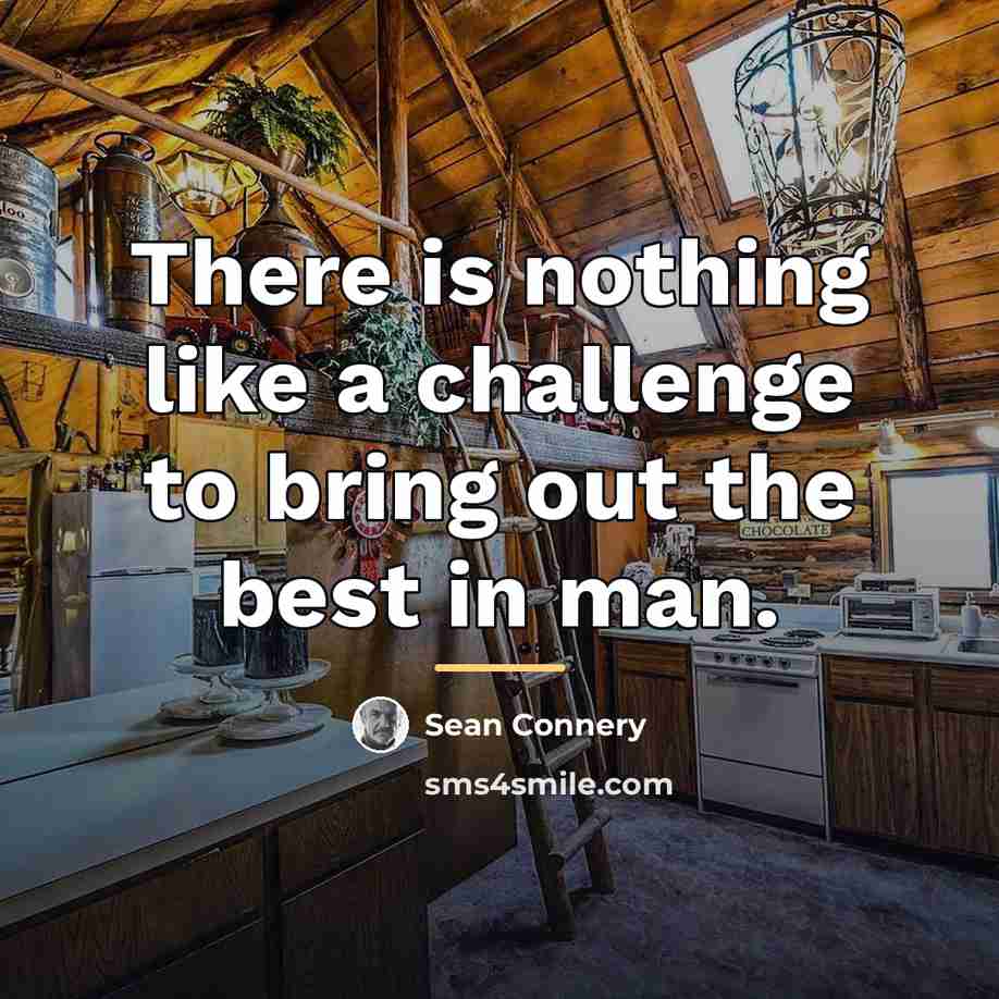 “There is nothing like a challenge to bring out the…” quote by Sean Connery