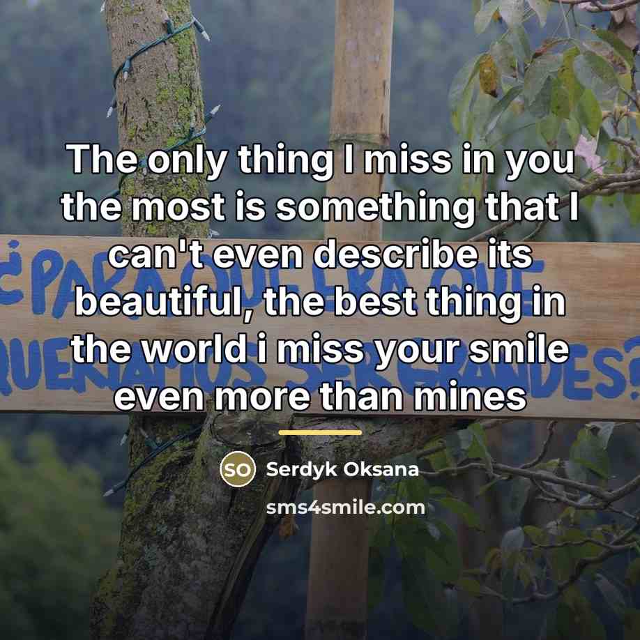 “The only thing I miss in you the most is…” quote by Anonymous