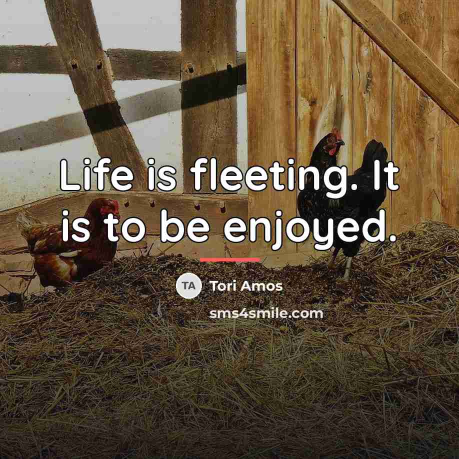 “Life is fleeting. It is to be enjoyed.…” quote by Tori Amos
