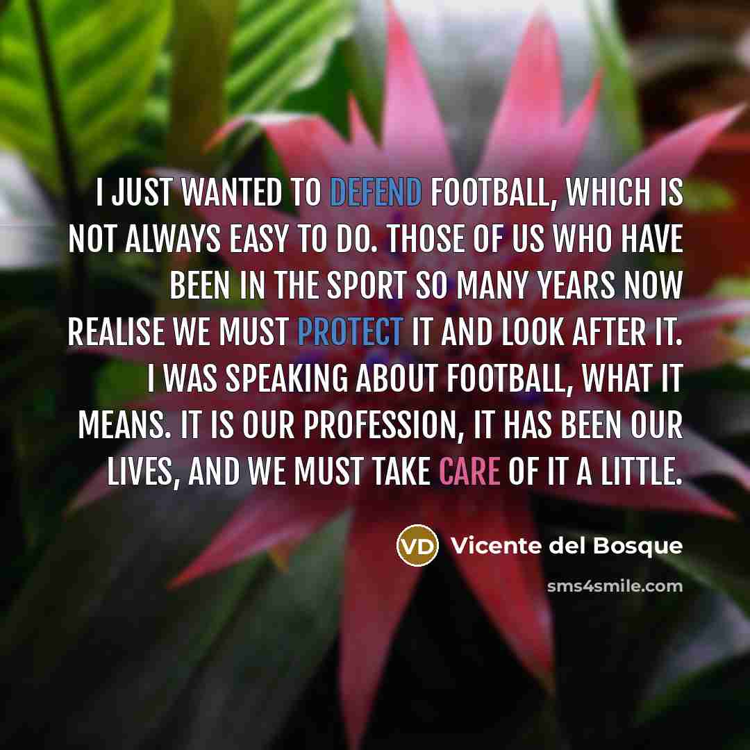 “I just wanted to defend football, which is not always…” quote by Vicente del Bosque