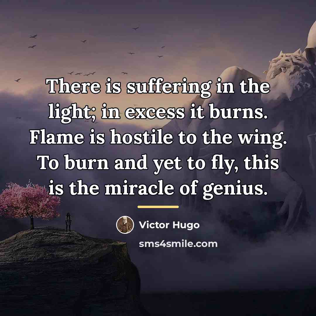 “There is suffering in the light; in excess it burns.…” quote by Victor Hugo