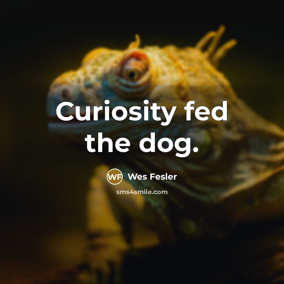 “Curiosity fed the dog.” quote by Wes Fesler