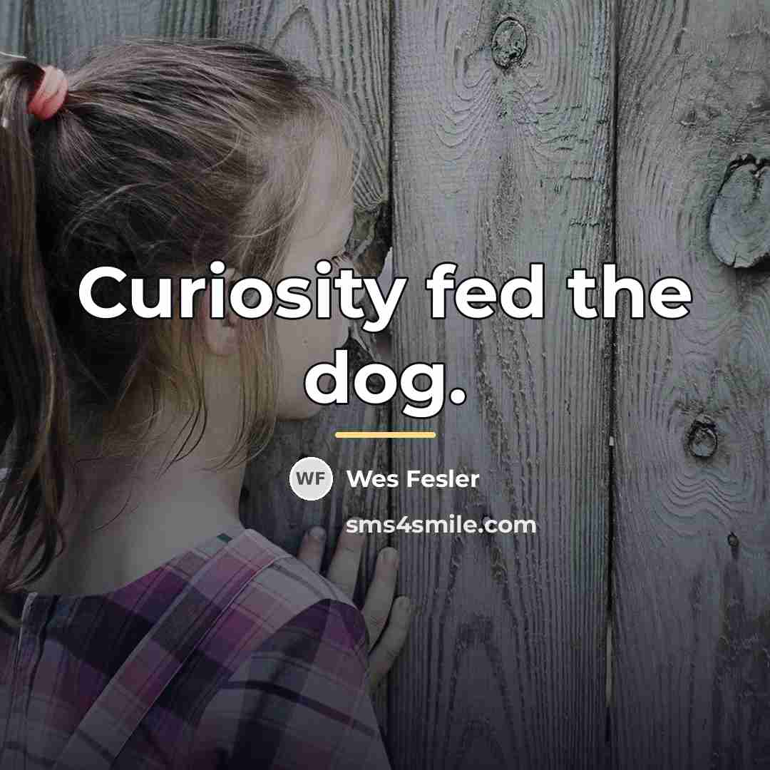 “Curiosity fed the dog.…” quote by Wes Fesler